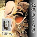 【ふるさと納税】 国産天日干し乾燥きくらげ25g×6袋　長野県栄村産