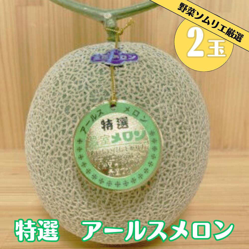 【ふるさと納税】先行予約 道の駅の野菜ソムリエ厳選 アールスメロン 2L× 2玉 箱詰め メロン フルーツ 果物 お取り寄せ 渥美半島 産地直送 田原市 送料無料　めっくんはうす メロン 糖度 メロン 青肉
