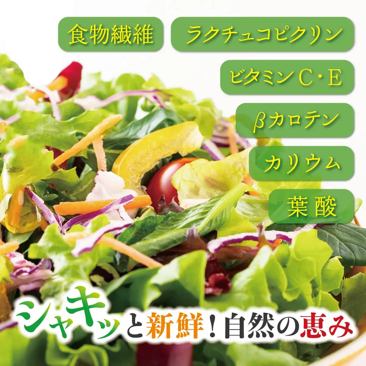 【先行予約】レタス彩（いろどり）3種セット（2026年9月以降順次発送）  OSU003