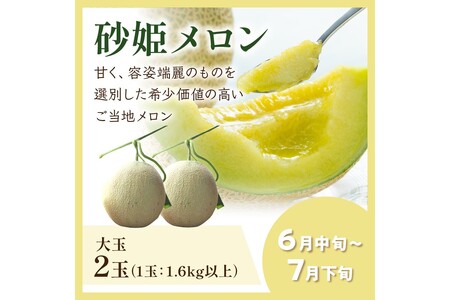 JA京都がおすすめする厳選メロン食べ比べセット（琴引メロン＆砂姫メロン）