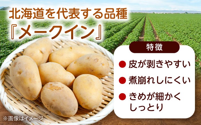 じゃがいも ジャガイモ 芋 メークイン 野菜