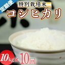 【ふるさと納税】令和6年産 (精白米)　特別栽培米　こしひかり10kg×10回配送　(1回/月）