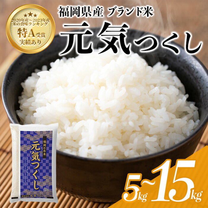 【ふるさと納税】＜数量限定・選べる！内容量＞ 元気つくし 精白米 (5kg〜15kg) お米 米 精白米 おこめ ごはん ご飯 ライス 弁当 おにぎり 国産 福岡県産 ブランド米 5kg 10kg 15kg 数量限定 常温 ＜北海道・沖縄・離島配送不可＞【ksg1780・ksg1781・ksg1782】