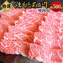 【ふるさと納税】G21Q 厳選されたGI認証 くまもとあか牛 特選焼肉用 約500g 肉 お肉 牛肉 焼き肉 あか牛 バーベキュー BBQ GI認証 冷凍 送料無料