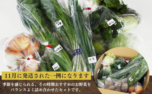 【 定期便 3回 】生命の農法（ 無化学農薬 ・ 無化学肥料栽培 ） 季節 の 野菜 セット | 有機 農法 ヤサイ 野菜 やさい 詰め合わせ 無 化学 農薬 奈良県 五條市 バーベキュー 料理 保存 スープ サラダ 人気 送料無料 青果 安心安全 味噌汁 国産 新鮮 常備菜 アレンジ 旬 虫食い跡 キズ 傷 根菜 葉物 果物 冷蔵 産地直送　慈光会自然食品販売所 定期