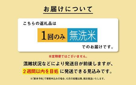 《先行予約》 無洗米 あきたこまち 令和7年産 10kg(5kg×2)  5kg袋 小分け 米 グルメ ふるさと こめ コメ 一人暮らし  【秋田のこまち農場】