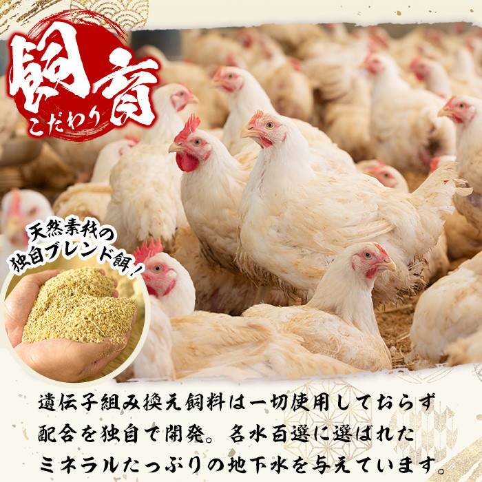 y340 ＜2026年3月発送分(3月31日迄に発送)＞鹿児島県産の自家製鶏の鶏刺しセット(計2kg・250g×8パック) 国産 九州産 鳥刺し 鶏刺し 鳥さし 鶏さし とりさし 鶏肉 とり肉 もも肉