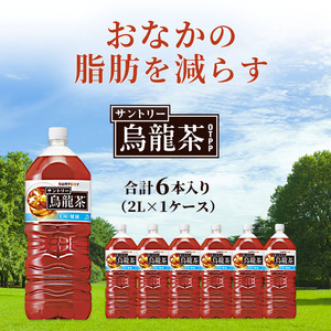 烏龍茶 サントリー 2L 6本 ペットボトル セット 烏龍茶