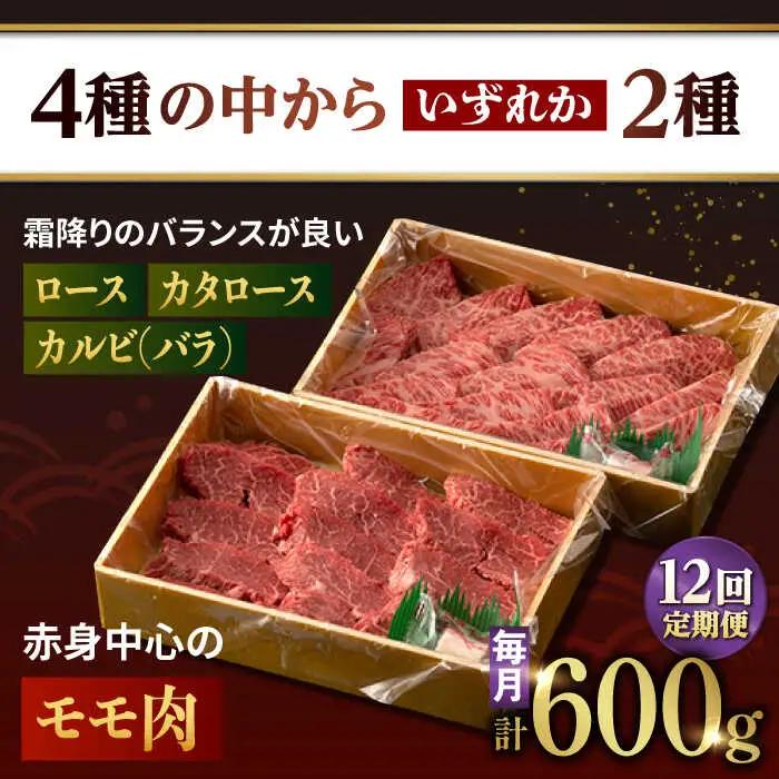 【12回定期便】長崎和牛 特選 焼肉 2種盛り ロース カルビ カタロース モモ（600g/回）[FG37] 肉 牛肉 焼き肉 赤身 バーベキュー BBQ 定期便 九州 九州産