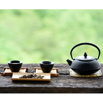 八女茶 煎茶セット 100g×2袋(宇美町)