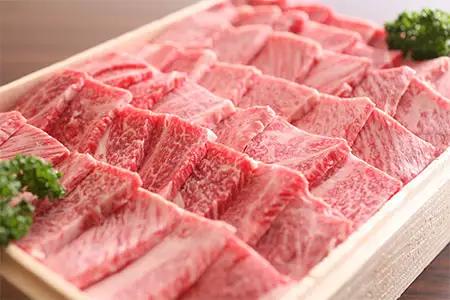 飛騨牛 焼肉霜降り肩ロース 300g [EN102] 霜降り