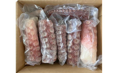 タコ足 浜茹でボイル 枝幸産 刺身 タコ足【2本 約1kg】