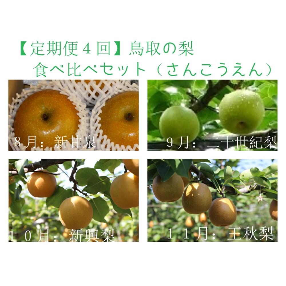 【ふるさと納税】【定期便4回】鳥取の梨食べ比べセット (各種3kg箱) | 鳥取 梨 なし 食べ比べ 期間限定 送料無料 鳥取県 鳥取市