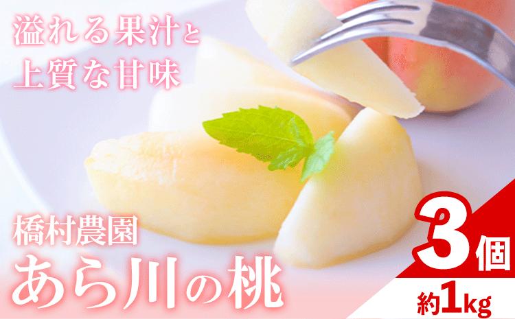 
            【予約受付】あら川の桃 大玉3個入り 橋村農園《2026年7月上旬-8月上旬出荷》和歌山県 紀の川市  人気 果物
          