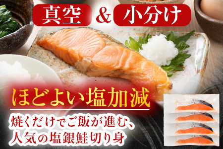 スモークサーモン2～4P(計500g)＆塩銀鮭切り身1切(約70g)×20P B-09089