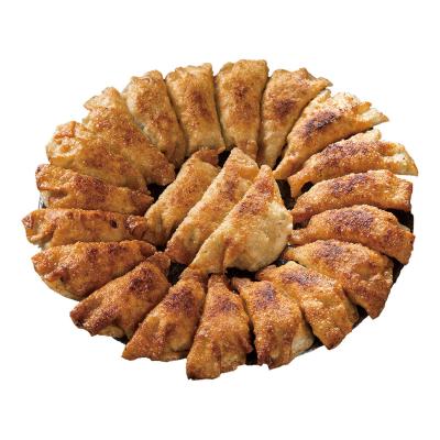 ふるさと納税 福島市 ふくしま餃子の会餃子の照井焼き餃子(60個)No.2473