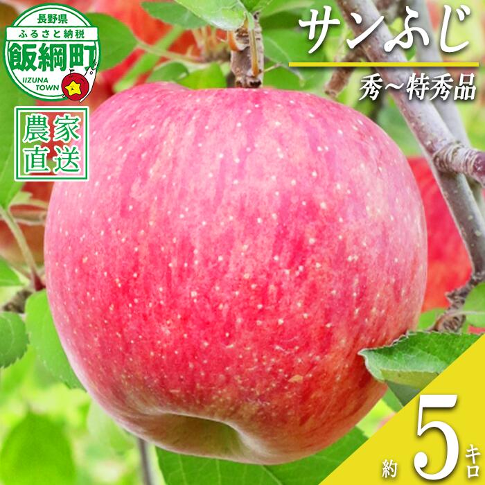 【ふるさと納税】 りんご サンふじ 秀 〜 特秀 5kg 大友農場 エコファーマー認定 令和8年度収穫分 長野県 飯綱町 【 信州 果物 フルーツ リンゴ 林檎 長野 予約 農家直送 】発送時期：2026年12月上旬〜2026年12月中旬 {***}