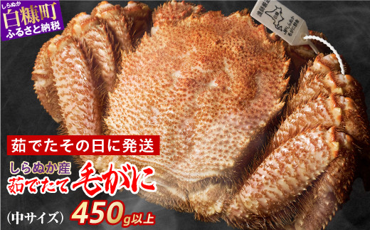 しらぬか産 茹でたて中サイズ毛がに【450g以上】