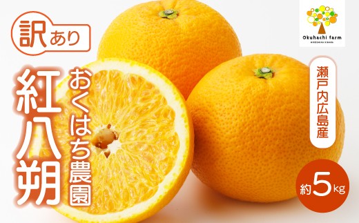 【おくはち農園】〈訳あり〉紅八朔 5kg 《2027年2～3月発送予定》栽培期間中 防腐剤 ワックス 不使用 旬 柑橘 かんきつ はっさく フルーツ 果物 瀬戸内 166006