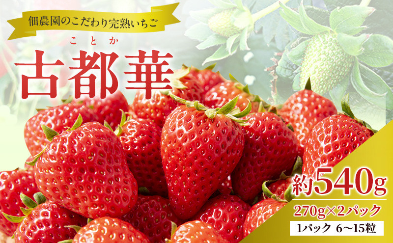 
                  先行予約 【いちご 完熟 古都華 約540g(270g× 2パック ) 佃農園のこだわり 高評価 フルーツ 果物 旬 産地直送 旬の果物 おやつ デザート ことか イチゴ 冷蔵 冷蔵配送 奈良県 大和郡山市 BN001 [№5990-0476]
                