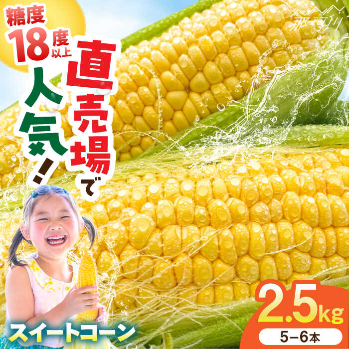 【ふるさと納税】【先行予約 2026年5月末より発送】朝採れ スイートコーン 約2.5kg（5~6本入り）数量限定 とうもろこし ＜ちくし農園＞那珂川市 | 5月末まで受付中 直売所 人気 トウモロコシ とうきび 新鮮 朝採り 野菜 スイーツ コーン 甘い [GDU002] 8000 8000円 8千円