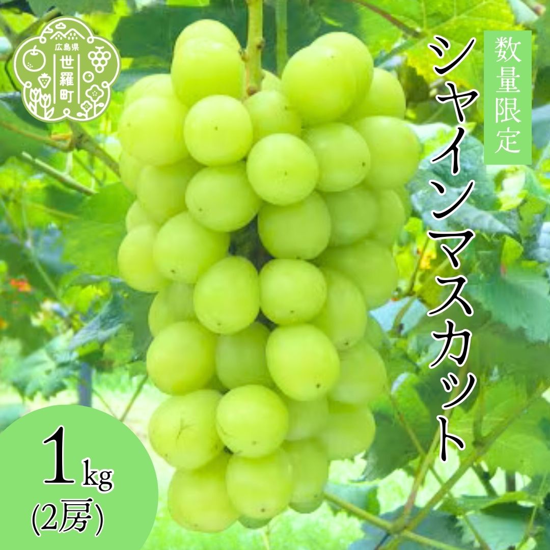 【ふるさと納税】シャインマスカット1kg (2房) 【2025年10月上旬以降順次発送】安井農園 ぶどう ブドウ シャイン マスカット フルーツ 種無し 果物 たねなし くだもの 産地直送 世羅 A009-04