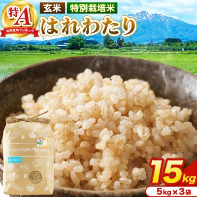 ふるさと納税 弘前市 米【特別栽培米】はれわたり 玄米 15kg(5kg×3袋)R7年産 特A|24_mft-081501