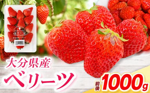 ベリーツ × 4パック ( 約1000g ) ( 1パック/250g前後 ) | 苺 イチゴ いちご ベリー フルーツ 果物 くだもの 大分県産 産地直送 大分県 中津市