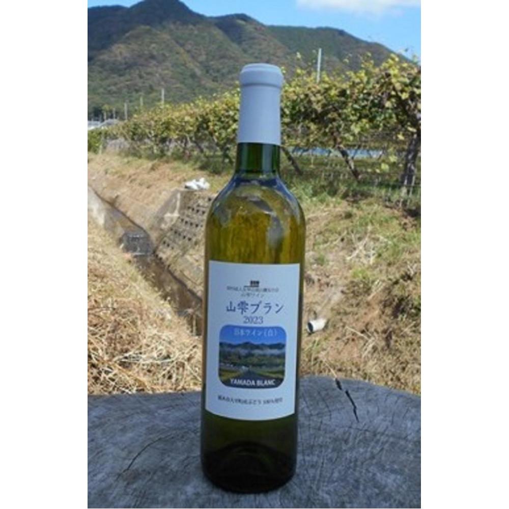 【ふるさと納税】山雫ブラン：地元産ぶどう100％使用した白ワイン（720ml）【お酒 さけ 人気 おすすめ ギフト】 | お酒 さけ 人気 おすすめ 送料無料 ギフト