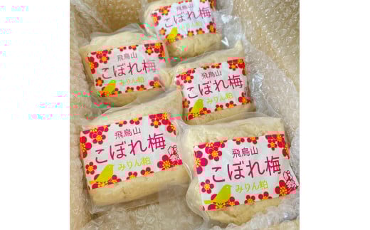 杉錦 純米 本みりん粕こぼれ梅 300g 5個 セット 味醂 調味料 発酵 食品 酒粕 本みりん 飛鳥山 麹  静岡県 藤枝市
