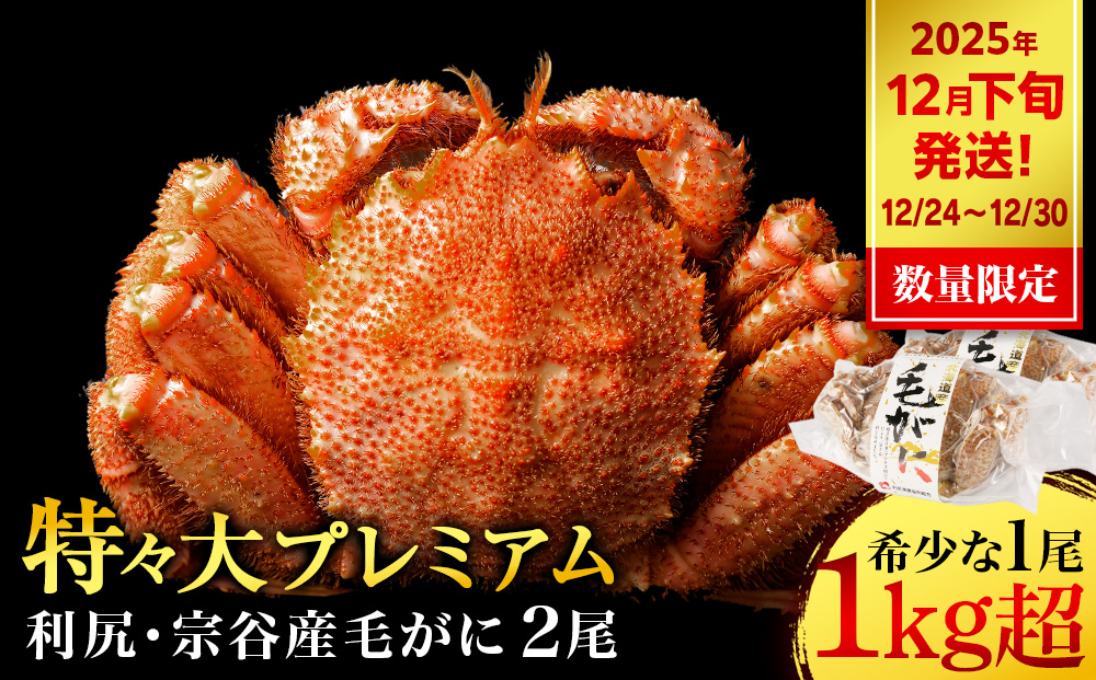 
            【2025年12月24日～12月30日発送】 毛ガニ 特々（1kg以上） 2尾 ＜利尻漁業協同組合＞
          