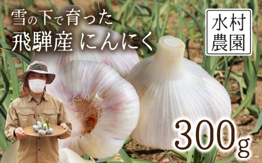 ＜8月から寄附額改定＞《先行予約》飛騨産 にんにく 300g ニンニク【7月中旬〜12月発送】水村農園 [Q3219]