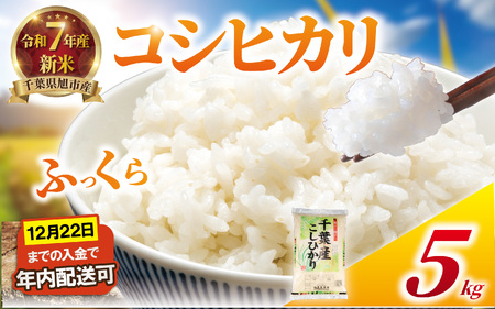 コシヒカリ 5kg 令和7年産 白米 コシヒカリ 千葉県