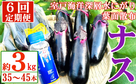 
            【定期便6回発送】農家直送　土佐の美味茄子の新鮮ナス　３kg　（室戸海洋深層水にがり使用） 野菜 なす ナス 常温 小袋 国産 夏野菜 茄子 小分け 旬 60000円 高知
          