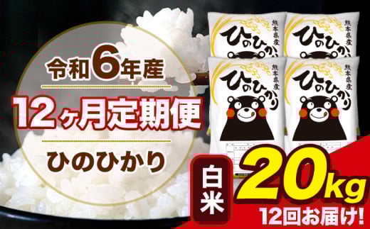 令和6年産 【12ヶ月定期便】 ひのひかり 白米 20kg 5kg×4袋 計12回お届け 熊本県産 こめ コメ 白米 精米 荒尾市 ひの 米 定期 《お申込み月の翌月から出荷開始》