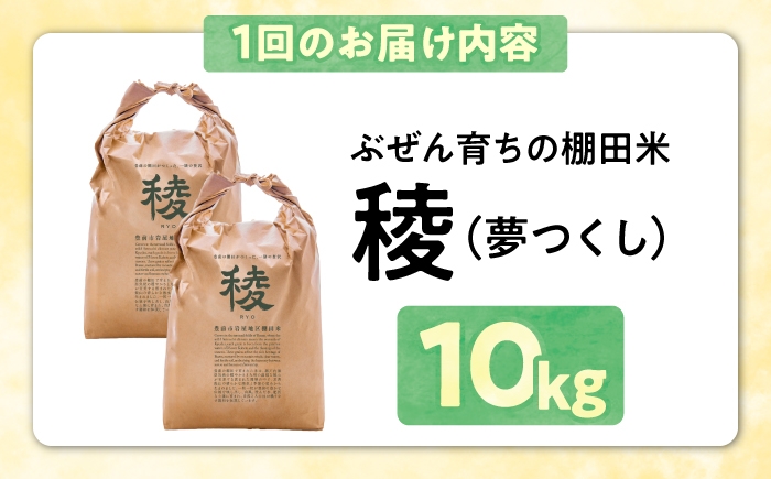 新米 産地直送 精米 国産 おすすめ 人気 10kg