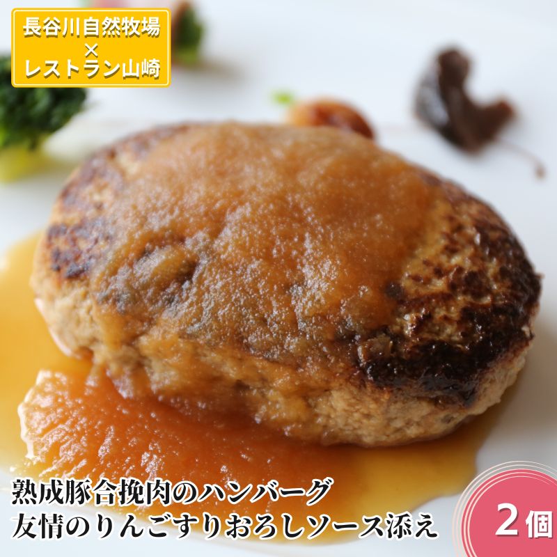 【ふるさと納税】ハンバーグ 熟成豚合挽肉のハンバーグ 2個 友情のりんごすりおろしソース添え セット 湯煎 温めるだけ レトルト 小分け 個包装 お試し 簡単 簡単調理 惣菜 おかず お弁当 弁当 時短 肉 お肉 熟成肉 豚肉 ギフト 贈答 冷凍 長谷川自然牧場産
