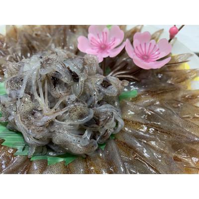ふるさと納税 滑川市 カネツル砂子商店　ほたるいか　ボイル&刺身・素干しセット |  | 02