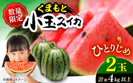 【先行予約】【初夏に実った贈り物】 小玉 スイカ 約4～4.5kg以上【なかむら農園】[ZBH004]