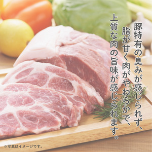 SPF豚のローストポーク(タレ付き) 750g(150g×5パック) / 豚 豚肉 SPF豚 SPFポーク ローストポーク