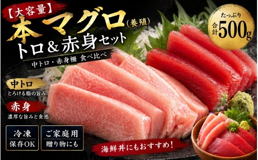【大容量】本マグロ（養殖）トロ＆赤身セット 500g (中トロ・赤身柵) 冷凍 刺身 食べ比べ 海鮮丼用 まぐろ マグロ 鮪 ご家庭用【nks110D】