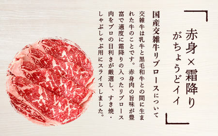 厳選高級部位牛ロース(すき焼き・しゃぶしゃぶ用)500g＜離島・沖縄配送不可＞