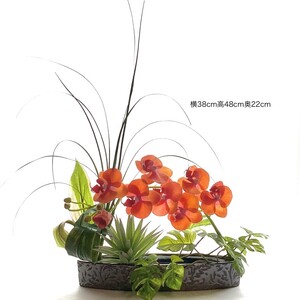 胡蝶蘭 観葉植物 人工 花 【草月流師範免許取得者所属】＼花一凛オリジナルデザイン／『選べるカラー』 光触媒 Artis Phalaeno アーティスファレノ 神奈川 相模原 アトリエ 花一凛 ※北海