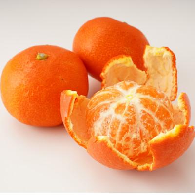 ふるさと納税 東かがわ市 【発送月固定定期便】東かがわ市フルーツ定期便全3回 |  | 01