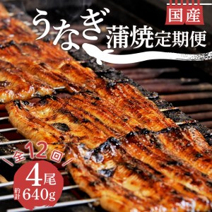 【 定期便 年 12回 】国産 うなぎ 鰻 蒲焼 4尾 640g 真空 小分け 丑の日 沼津 うなよし （ｳﾅｷﾞ ｳﾅｷﾞ ｳﾅｷﾞ ｳﾅｷﾞ ｳﾅｷﾞ ｳﾅｷﾞ ｳﾅｷﾞ ｳﾅｷﾞ ｳﾅｷﾞ ｳﾅｷﾞ ｳﾅｷﾞ ｳﾅｷﾞ ｳﾅｷﾞ ｳﾅｷﾞ ｳﾅｷﾞ ｳﾅｷﾞ ｳﾅｷﾞ ｳﾅｷﾞ ｳﾅｷﾞ ｳﾅｷﾞ ｳﾅｷﾞ ｳﾅｷﾞ ｳﾅｷﾞ ｳﾅｷﾞ ｳﾅｷﾞ ｳﾅｷﾞ ｳﾅｷﾞ ｳﾅｷﾞ ｳﾅｷﾞ ｳﾅｷﾞ ｳﾅｷﾞｳﾅｷﾞ ｳﾅｷﾞ ｳﾅｷﾞ ｳﾅｷﾞ ｳﾅｷﾞ ｳﾅｷﾞ ｳﾅｷﾞ ｳﾅｷﾞ ｳﾅｷﾞ ｳﾅｷﾞ