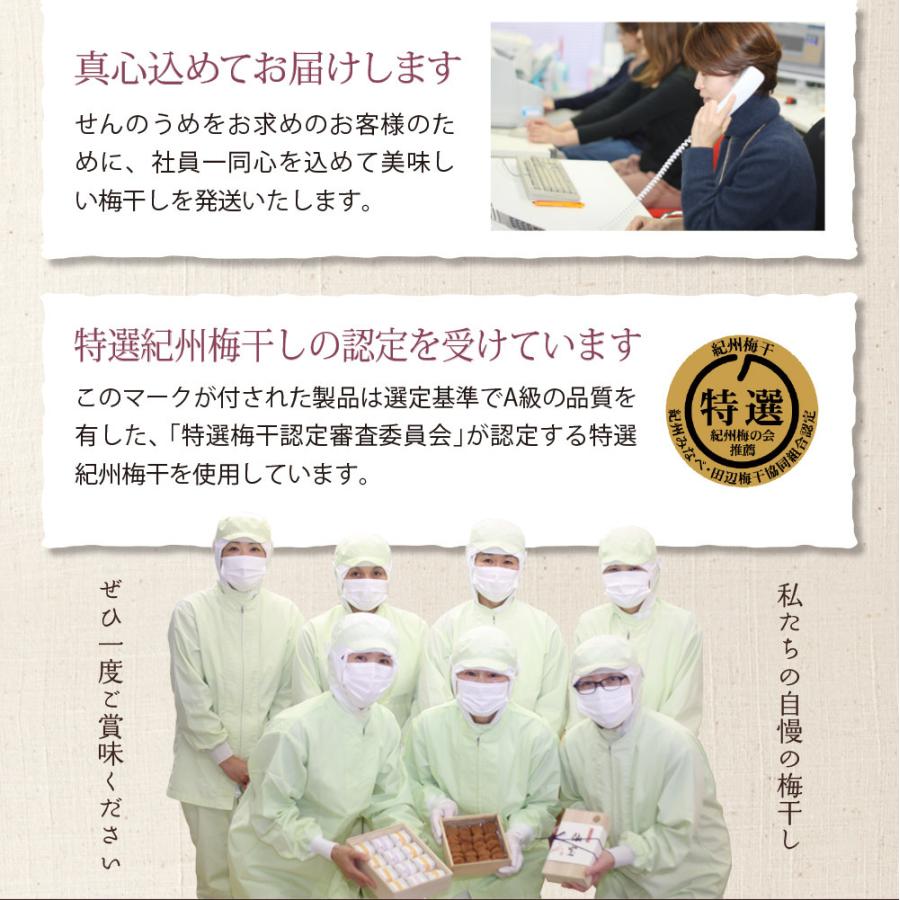 無添加梅干し 【A級品】紀州南高梅 紀州完熟白干し梅 1kg 塩分23％ / 南高梅 和歌山県産 天日塩 調味料不使用 添加物不使用 保存料不使用 熱中症対策 昔ながら しょっぱい梅 返礼品 ギフト 