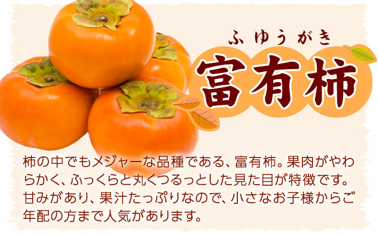 【先行予約】柿 の名産地 九度山の 富有柿 約 7.5kgサイズおまかせ 厳選館 《11月上旬-12月下旬より出荷予定》 和歌山県 日高川町 柿 カキ かき ジューシー フルーツ(F)