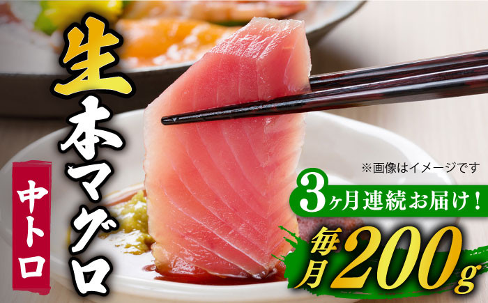 
【全3回定期便】【ながさき水産業大賞受賞の新鮮なマグロを冷蔵でお届け！！】 五島列島産 養殖 生本かみマグロ 中トロ 200g マグロ まぐろ 鮪 刺身 ブロック 【カミティバリュー】 [RBP026]
