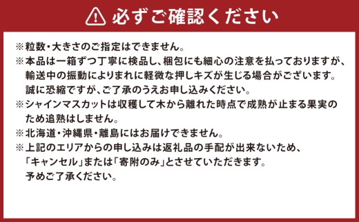 【 2回定期便 】 最高峰プレミアム 木熟ぶどう ハレノシャイン シャインマスカット 晴王 1房 約800g以上 赤秀品以上 岡山県船穂産 果物 くだもの 果実 フルーツ 果汁 ぶどう 葡萄 ブドウ マスカット 岡山県産 冷蔵 【 2026年9月上旬より発送開始予定 】