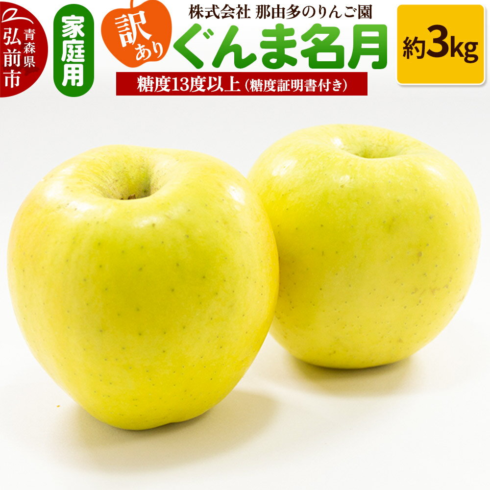 【ふるさと納税】りんご【訳あり】家庭用 ぐんま名月 約3kg 糖度13度以上（糖度証明書付）
